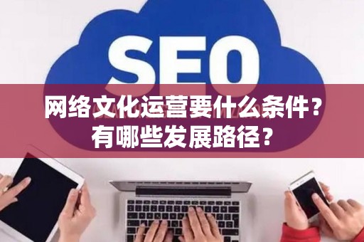 网络文化运营要什么条件？有哪些发展路径？